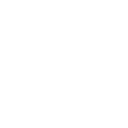 Local Search Visibility