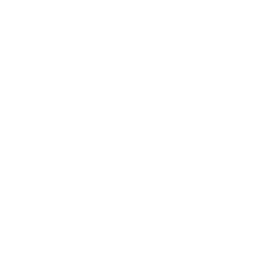 Social Reach
