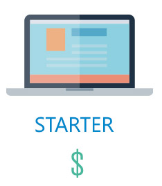 Starter Website Cost